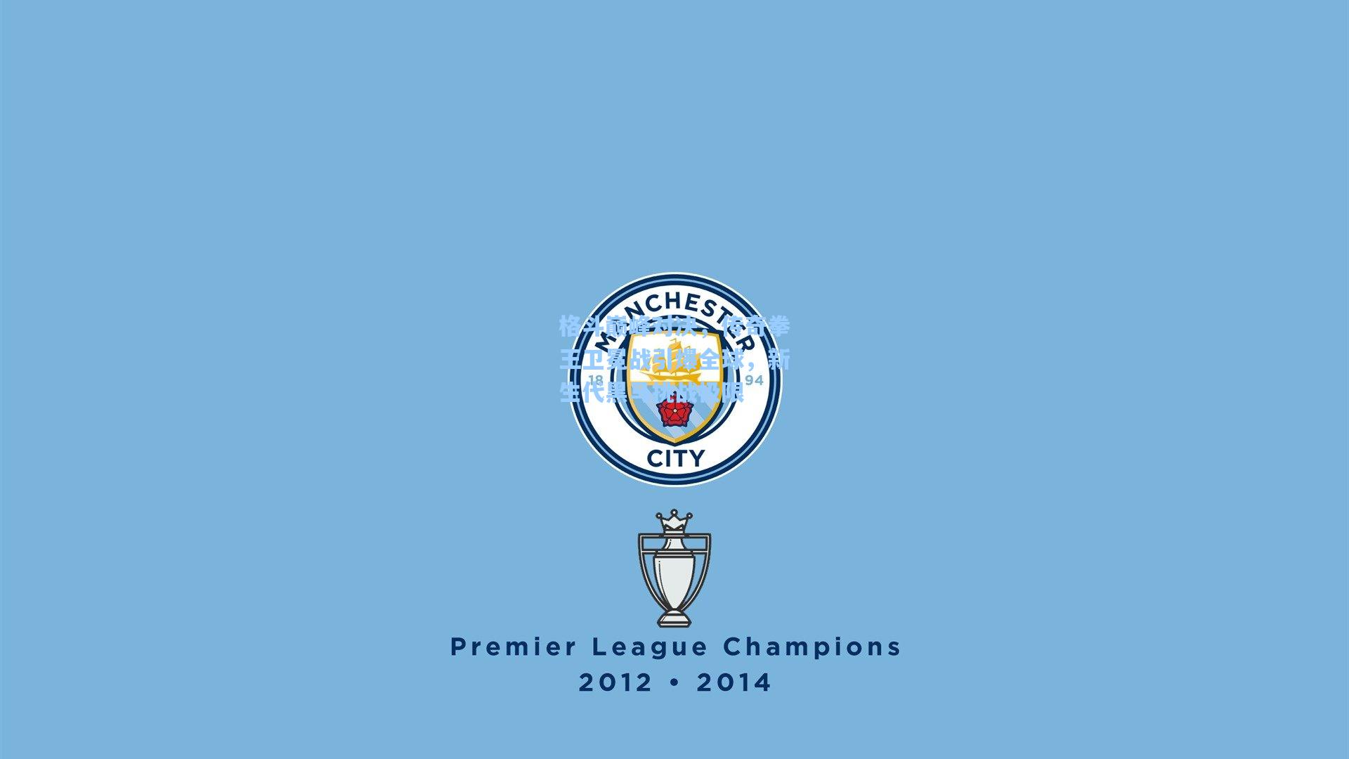 格斗巅峰对决，传奇拳王卫冕战引爆全球，新生代黑马挑战极限