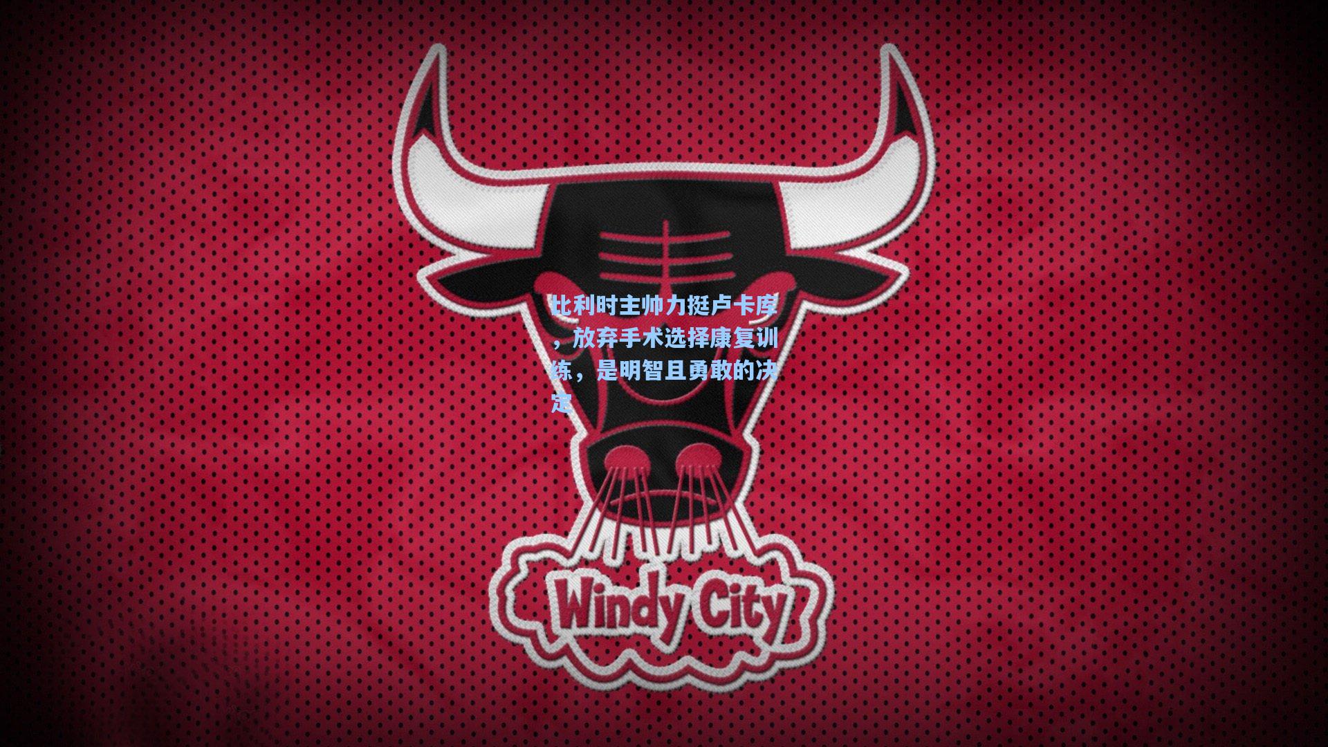 比利时主帅力挺卢卡库,放弃手术选择康复训练,是明智且勇敢的决定